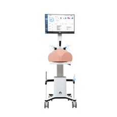 Simulador para Treinamento de Habilidade em Videolaparoscopia - TYS-4061-L