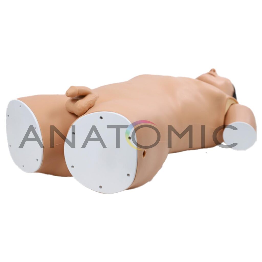 Simulador para Treinamento de Endoscopia