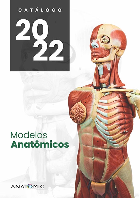 Modelos Anatômicos